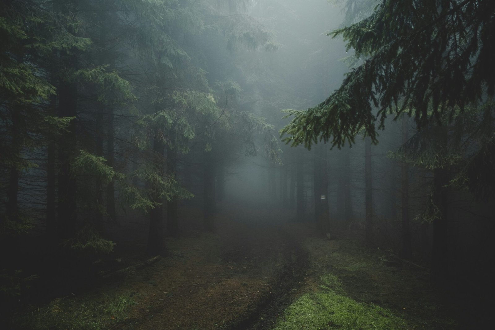 Foggy forest path representing ADHD cleaning paralysis—when your executive system is underpowered and the way forward feels unclear. Even though you’ve walked this path before, mental fog keeps you from seeing where to start or how to continue. The steps are there—you just can’t access them.