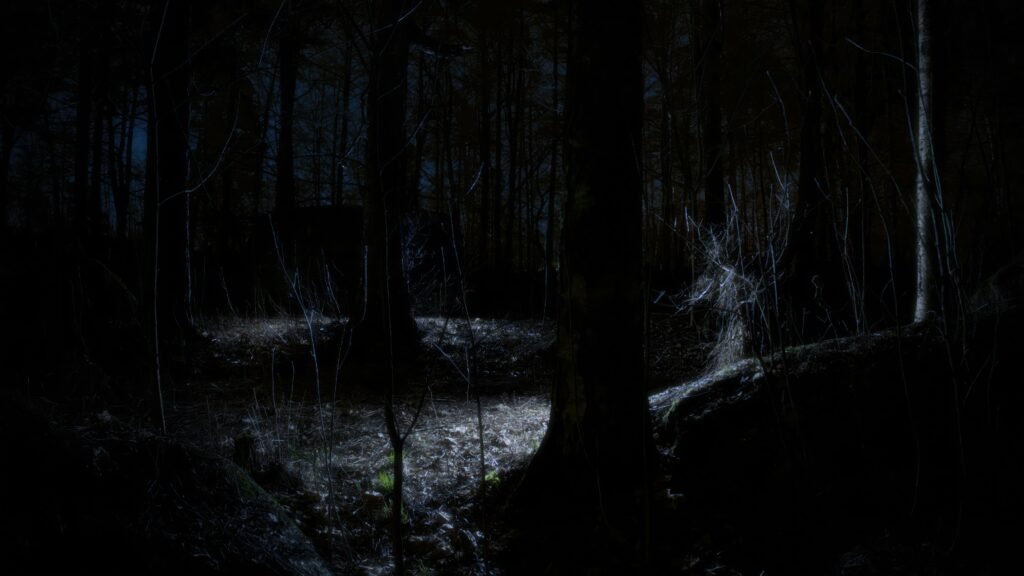 Dark forest with a small clearing faintly lit in the center, surrounded by dense trees and shadows—suggesting hidden danger beyond what’s visible.