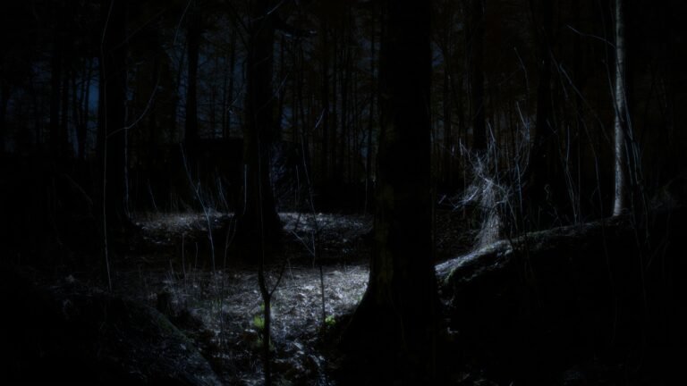 Dark forest with a small clearing faintly lit in the center, surrounded by dense trees and shadows—suggesting hidden danger beyond what’s visible.