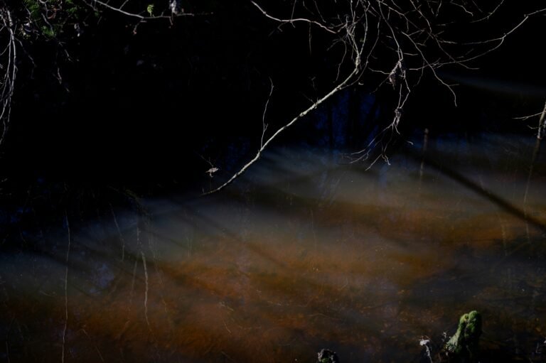 Dark forest pond at night with faint light reflecting off murky water, suggesting hidden depth and uncertainty beneath a seemingly calm surface.