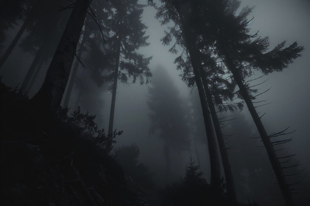 Foggy forest at night seen from below, symbolizing the fear and confusion of ADHD nightmares and sleep paralysis in children.